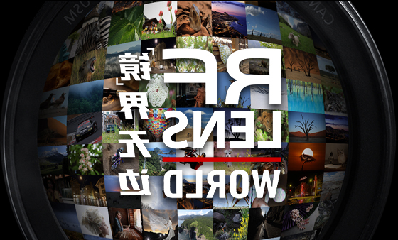 镜界无边